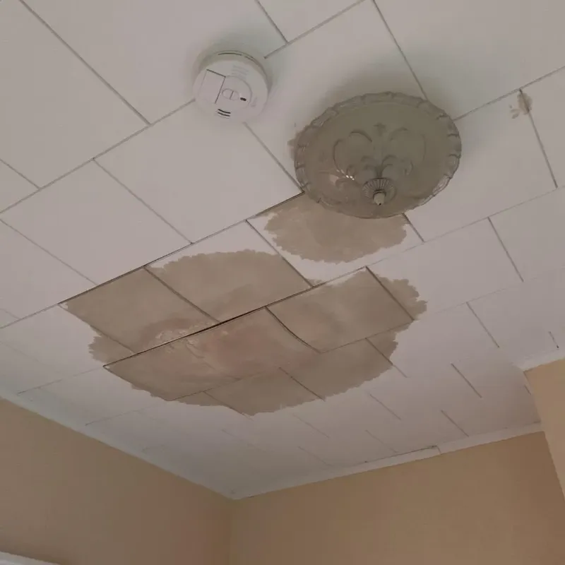 Ceiling Water Damage Repair in West Point, MS