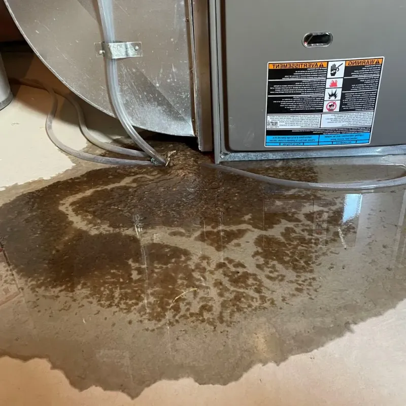 Pipe Burst and Leak Restoration in West Point, MS