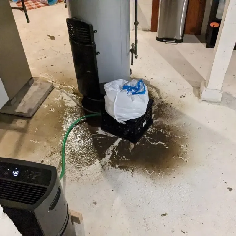 Sewage Backup Cleanup Service in West Point, MS